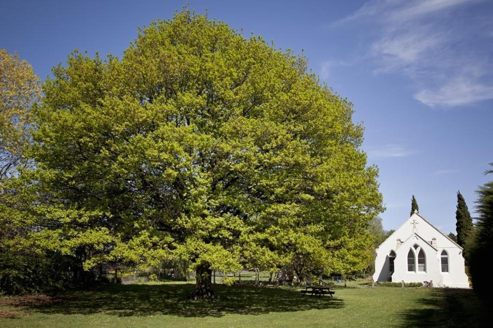 The Holy Oaks Villa Duntroon Dış mekan fotoğraf
